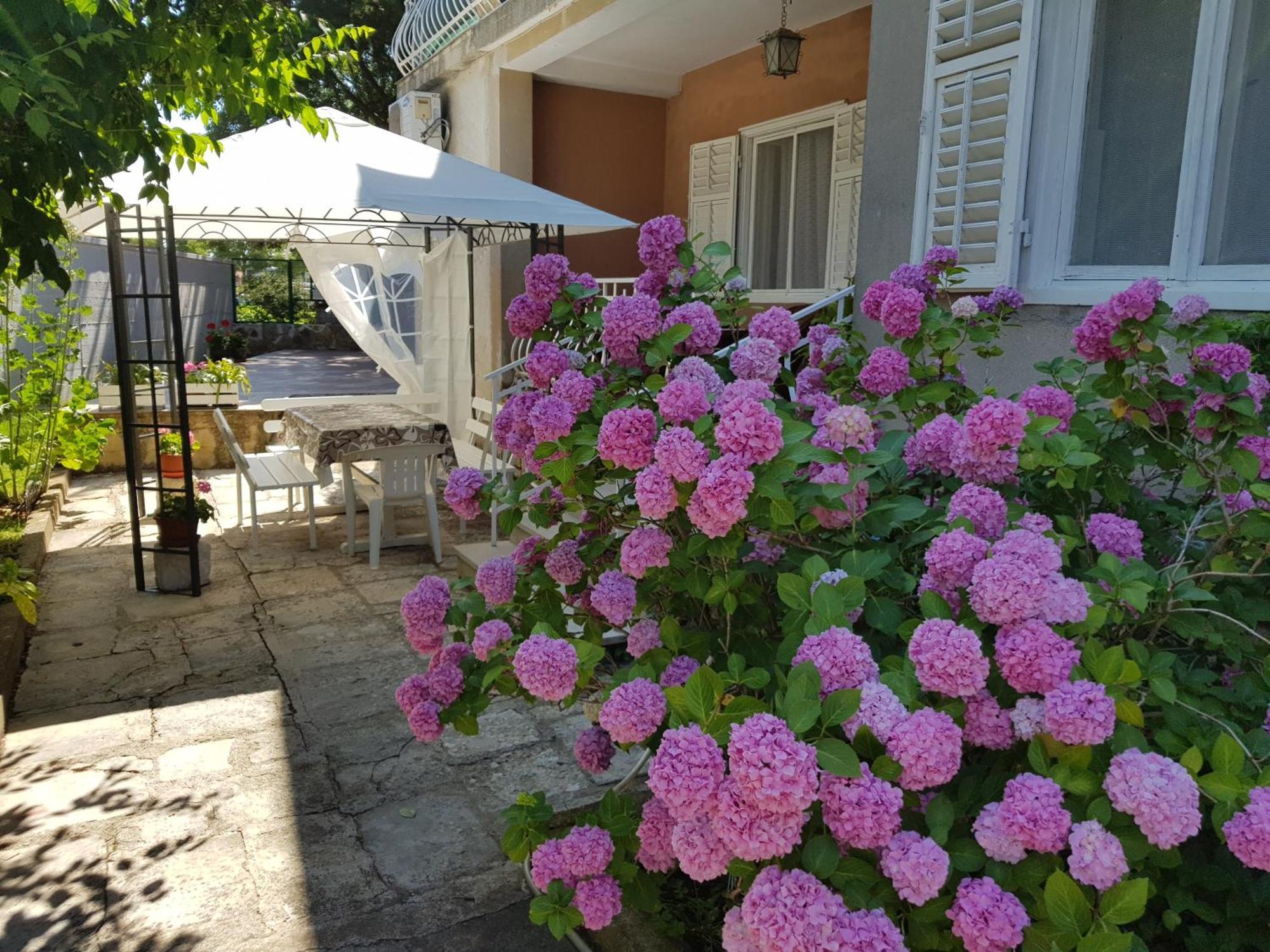 Renata Mare Apartments Ρόβινι Εξωτερικό φωτογραφία